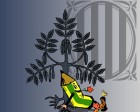 Escola Enric Grau Fontseré